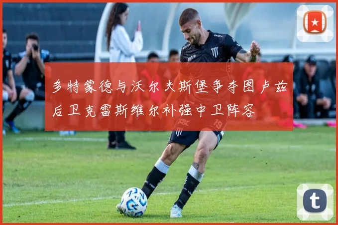 多特蒙德与沃尔夫斯堡争夺图卢兹后卫克雷斯维尔补强中卫阵容